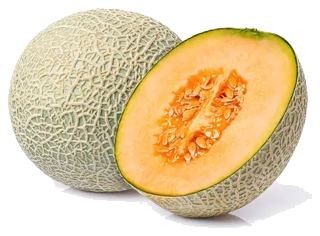 Cantaloupe