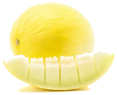 Honeydew melon