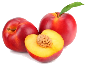 Nectarines