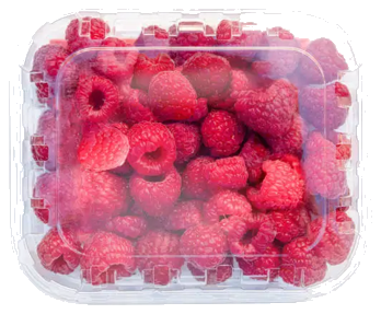 Raspberries