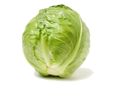 Green cabbage