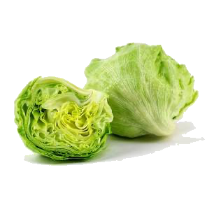 Iceberg lettuce