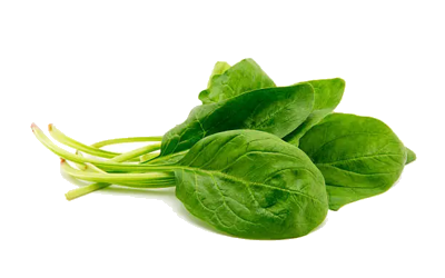 Spinach