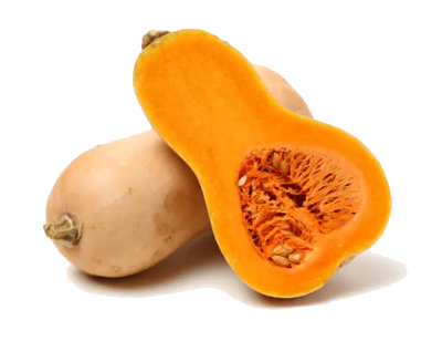 Butternut squash