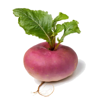 Turnips