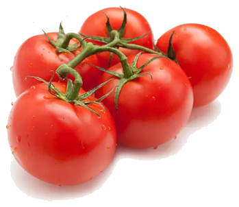 Vine tomatoes